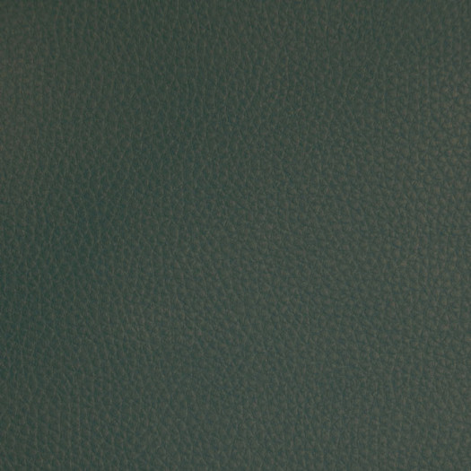 Zoom 1 72026