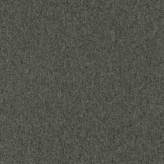 Zoom 1 81651