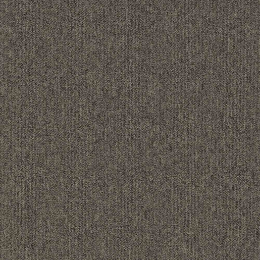 Zoom 1 81653