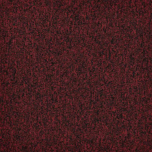 Zoom 1 81668
