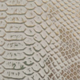 Zoom 1 82810
