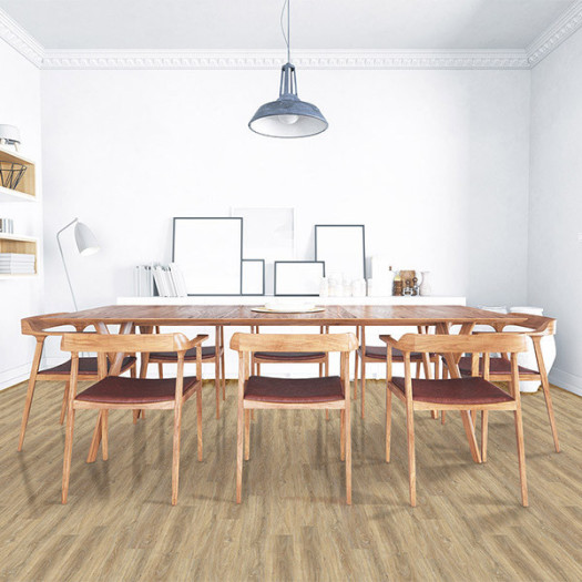 Ambiance 1 75796