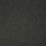 Zoom 1 53609