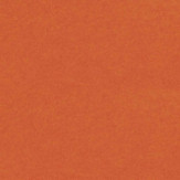 Zoom 1 81325