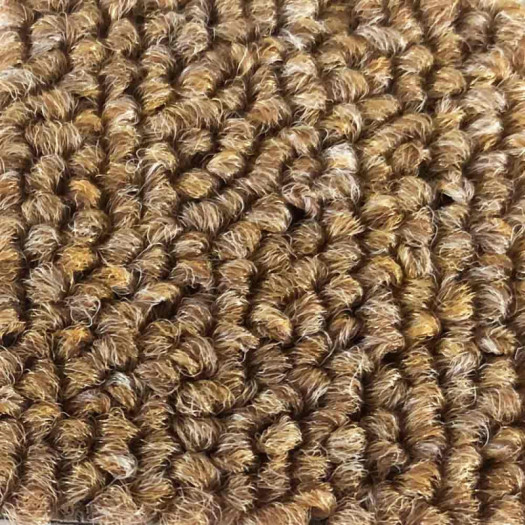 Zoom 1 81380