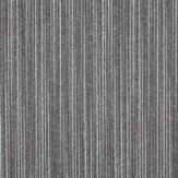 Zoom 1 81419