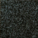 Zoom 1 81465