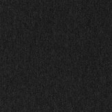Zoom 1 81637
