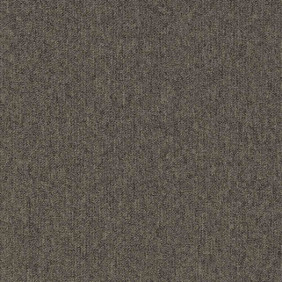 Zoom 1 81640