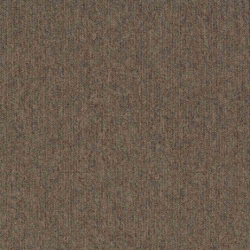 Zoom 1 81641
