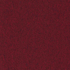Zoom 1 81647