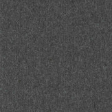 Zoom 1 81652