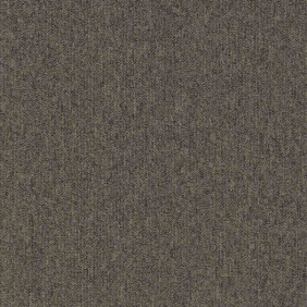 Zoom 1 81653