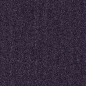 Zoom 1 81659