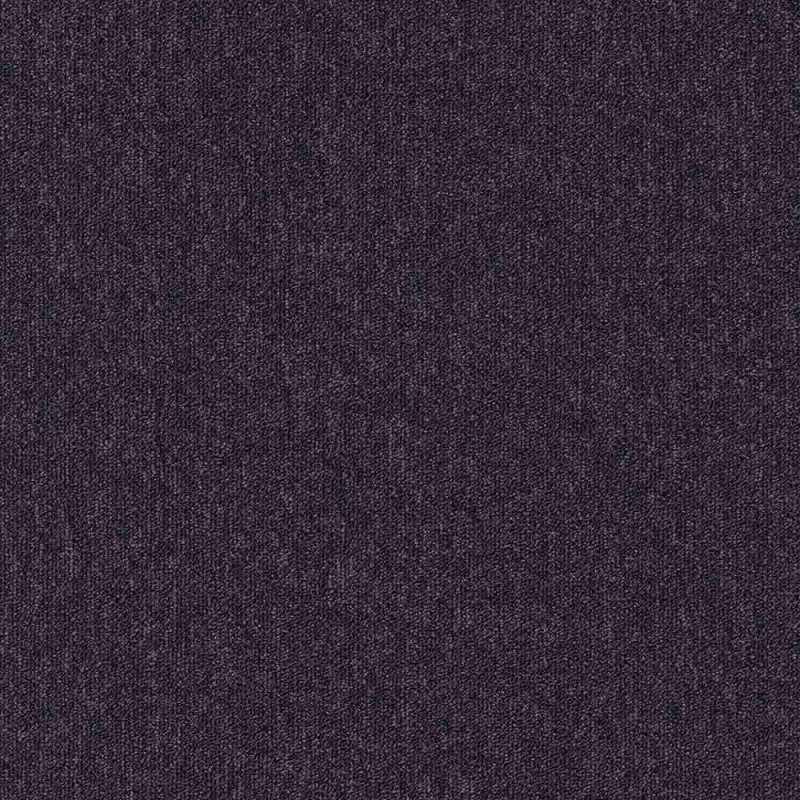 Zoom 1 81659