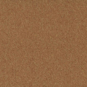 Zoom 1 81662