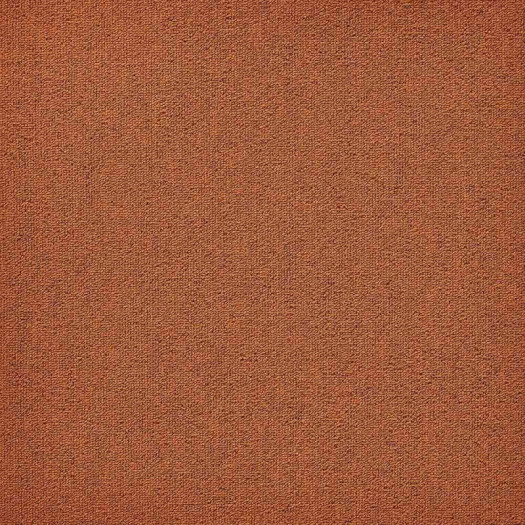 Zoom 1 81666