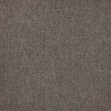 Zoom 1 81677