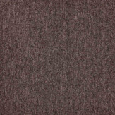 Zoom 1 81678