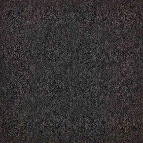 Zoom 1 81685