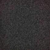 Zoom 1 81685