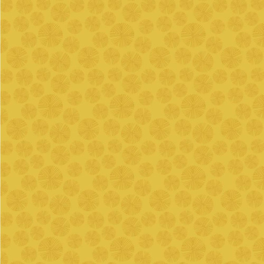 Zoom 1 82598