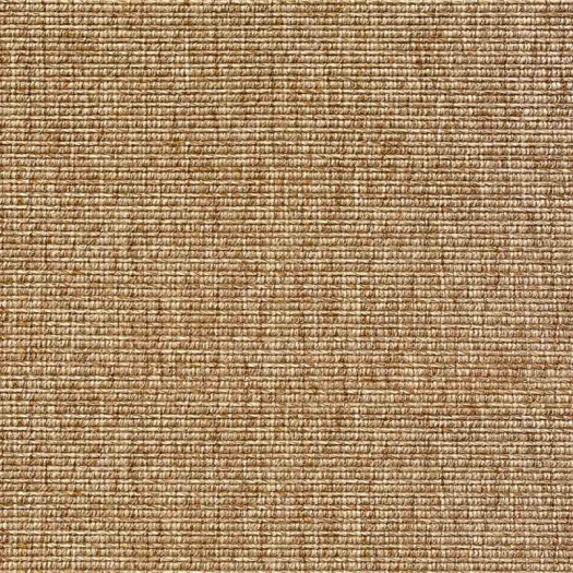 Zoom 1 83342