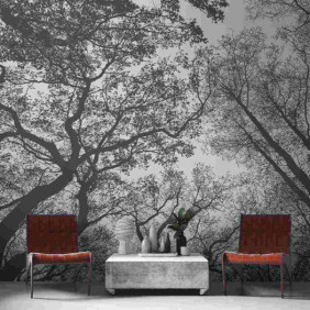 Ambiance 1 84487