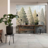 Ambiance 1 84857