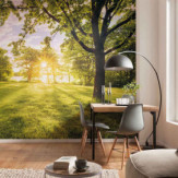 Ambiance 2 84861