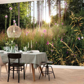 Ambiance 1 85105