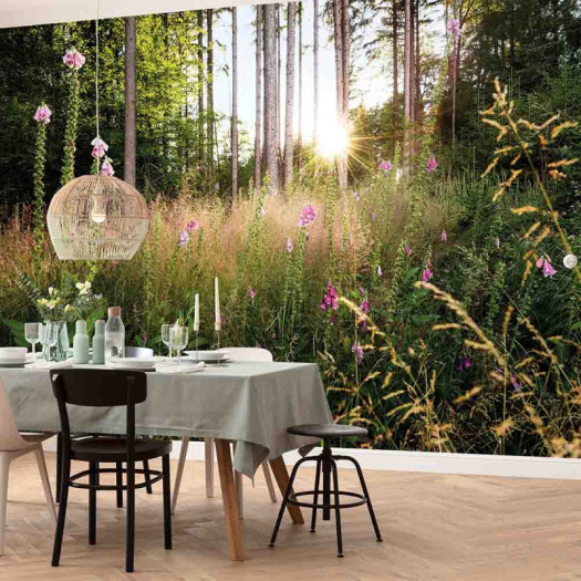 Ambiance 1 85105