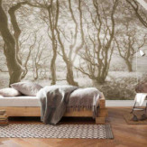 Ambiance 1 85922
