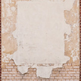 Zoom 1 88909