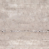 Zoom 1 88937