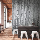 Ambiance 1 89532