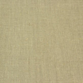 Zoom 1 37846