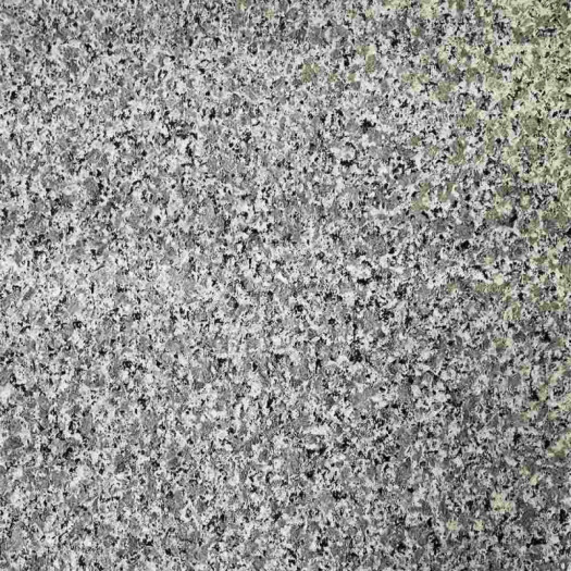 Zoom 2 83498