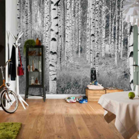 Ambiance 1 85145