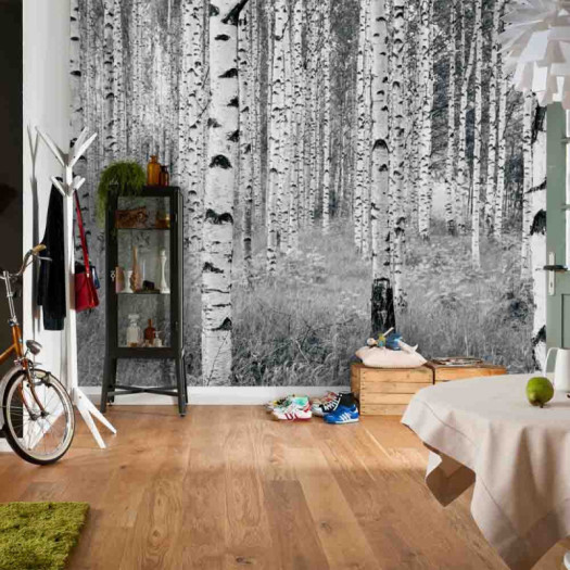 Ambiance 1 85145