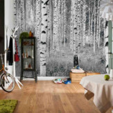 Ambiance 1 85145
