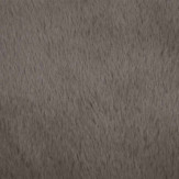 Zoom 2 85433