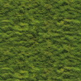 Zoom 1 85641