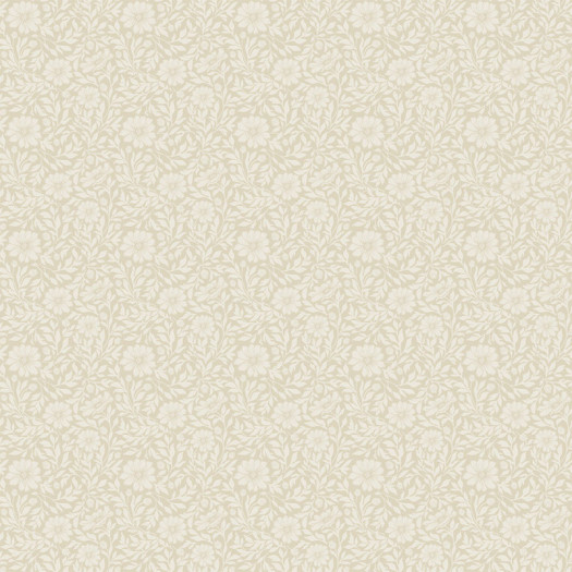Zoom 1 89811