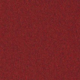 Zoom 1 81648