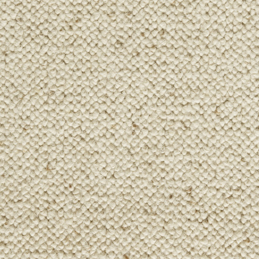 Zoom 1 89596