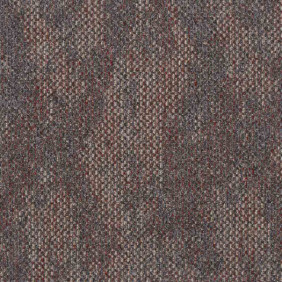 Zoom 1 80464