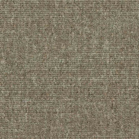Zoom 1 81366