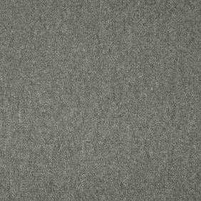 Zoom 1 81381