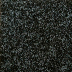 Zoom 1 81458